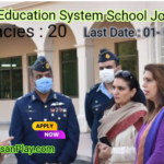 Fazaia Education System School Jobs 2024