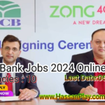 MCB Bank Jobs 2024 Online Apply