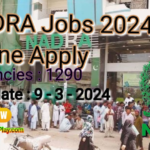 NADRA Jobs 2024 Online Apply 