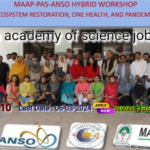 Pakistan Academy of Sciences Jobs 2024