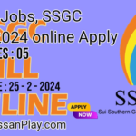 Toyday Jobs, SSGC Jobs 2024 Online Apply