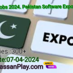 PSEB Jobs 2024. Pakistan Software Export Board