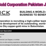 Barrick Gold Corporation Pakistan Jobs 2024