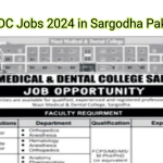 NMDC Jobs 2024 in Sargodha Pakistan